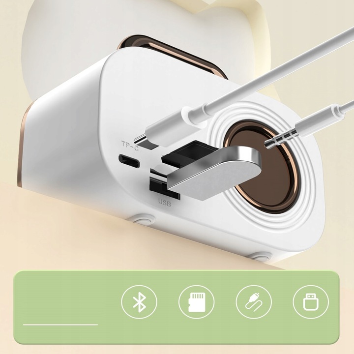 Bezprzewodowy Zestaw do Karaoke dla Dzieci Głośnik Bluetooth + 2 Mikrofony