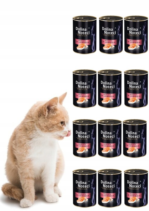 Karma dla kota DOLINA NOTECI Łosoś 24 x 400 g