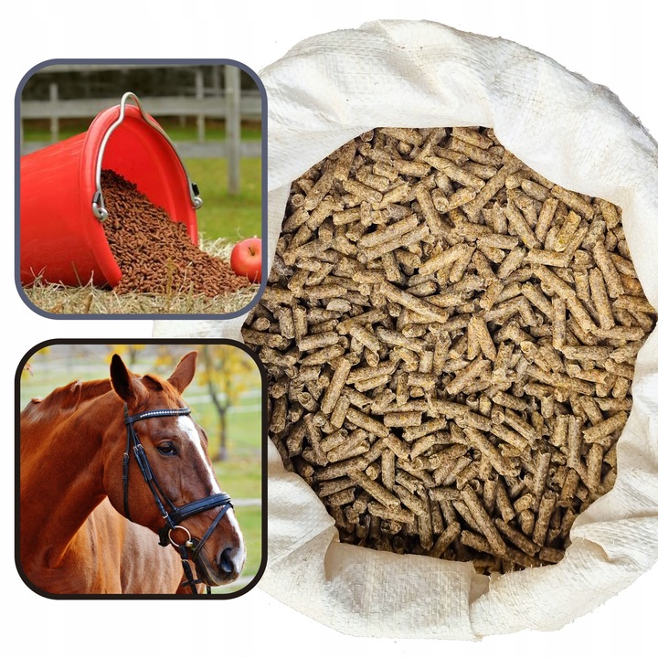 WYSŁODKI BURACZANE Niemelasowane suche 20kg dla KONIA OWIEC ALPAK