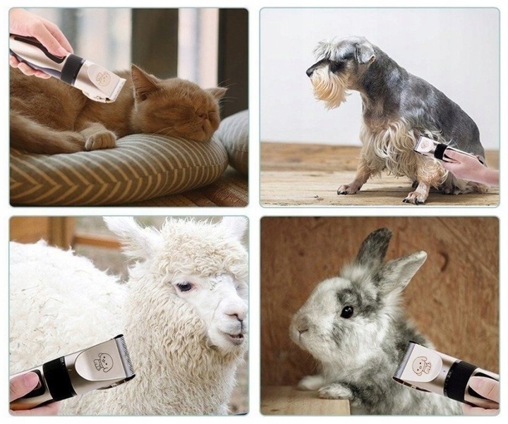 MASZYNKA DO STRZYŻENIA PSÓW PSA KOTA ZWIERZĄT ZESTAW CICHA PROFESJONALNA