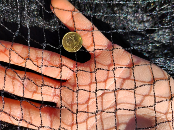 MOCNA SIATKA przeciw PTAKOM na BALKON na Drzewka Wolierę 7,5 x 7,5 m