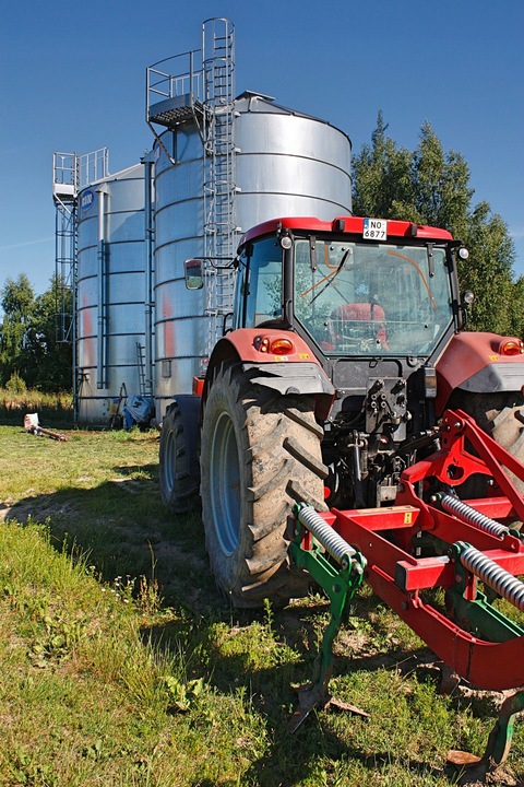 Olej z wiesiołka 250ml Warmińska Manufaktura