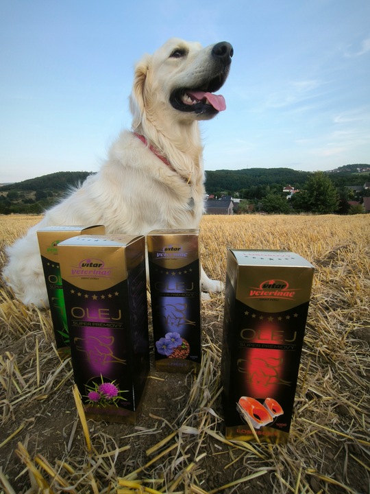 VITAR Veterinae Olej Lniany 500 ml - lśniąca sierść + doskonałe źródło