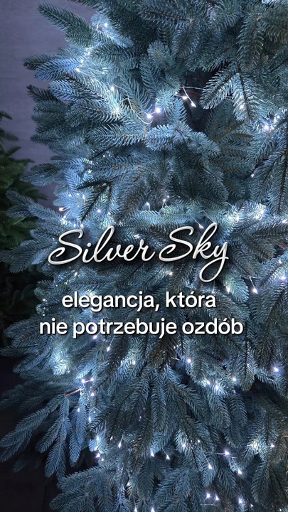 Ekskluzywna Sztuczna Choinka 100% PE 3D ŚWIERK SILVER sky 180 cm LUX