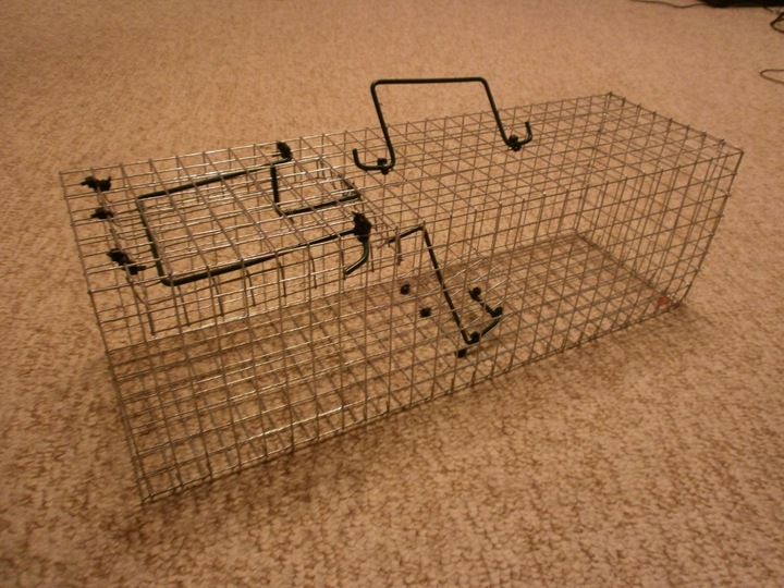 ŻYWOŁAPKA PUŁAPKA NA SZCZURY i inne 50/16/16 cm