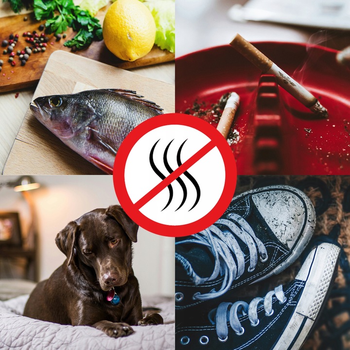 GENERATOR OZONU OZONATOR OCZYSZCZACZ CZASOMIERZ NEUTRALIZATOR ZAPACHU