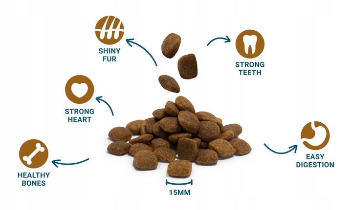 DIVINUS Performance karma sucha dla psa owczarek labrador witaminy 20kg