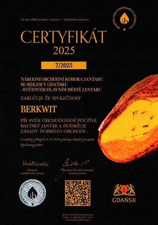 NASZYJNIK NA ZĄBKOWANIE BURSZTYN FASOLKA NIEPOLEROWANY