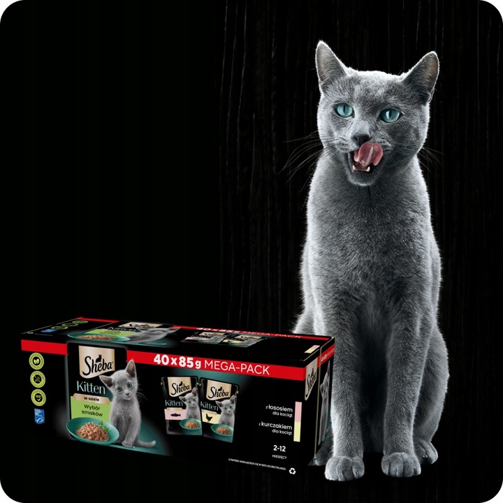 SASZETKI SHEBA KITTEN WYBÓR SMAKÓW Z ŁOSOSIEM I KURCZAKIEM 40X85G