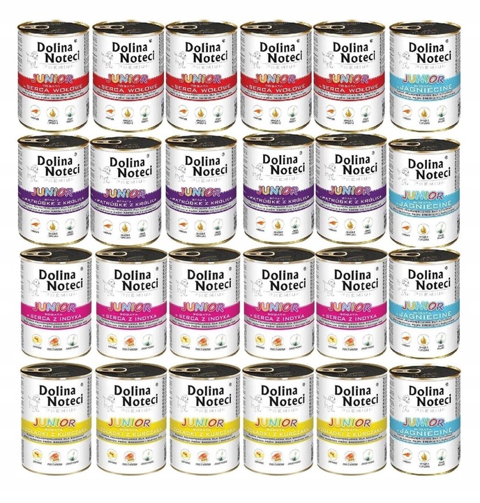 DOLINA NOTECI PREMIUM JUNIOR MIX SMAKÓW 24 X 400G