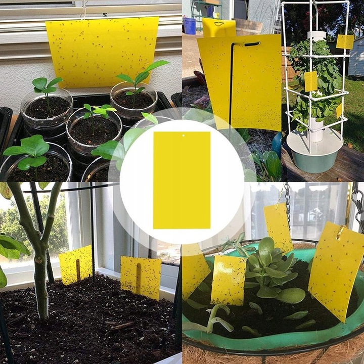 60x ŻÓŁTE LEPY DO DONICZEK DONICZKI NA MUSZKI MSZYCE OWADY ZIEMIÓRKI 60 SZT