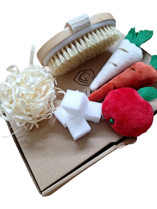 SMACZKI DLA HOBBY HORSE (MARCHEW,PIETRUSZKA,SIANKO, JABŁKO -SZCZOTKA )..