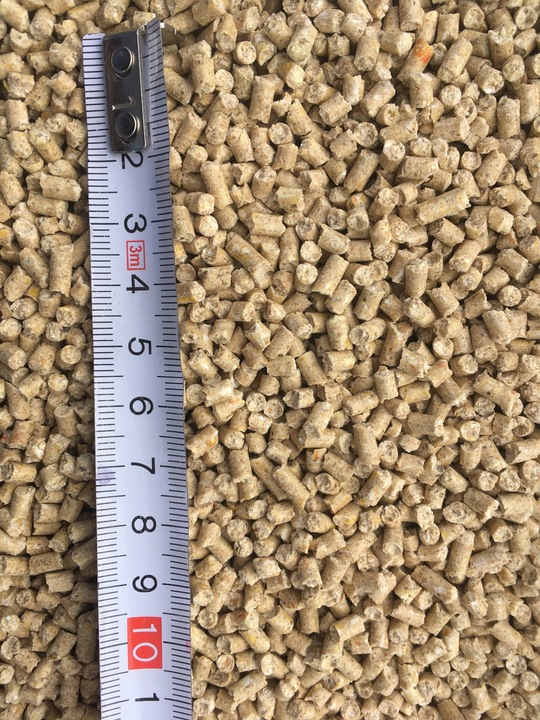 Pasza karma dla Przepiórek bez GMO susz pokrzywa marchew lucerna 20 kg