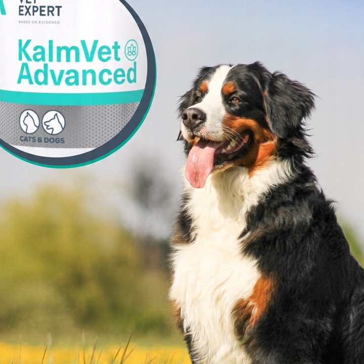 VET EXPERT KALMVET ADVANCED - preparat na objawy stresu dla psów i kotów