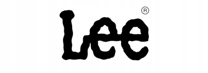 Męska Koszula LEE LEE BUTTON DOWN L