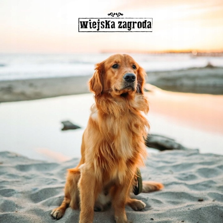 Wiejska Zagroda Karma sucha dla psa KACZKA GRUSZKA WARZYWA Duże rasy L 9kg