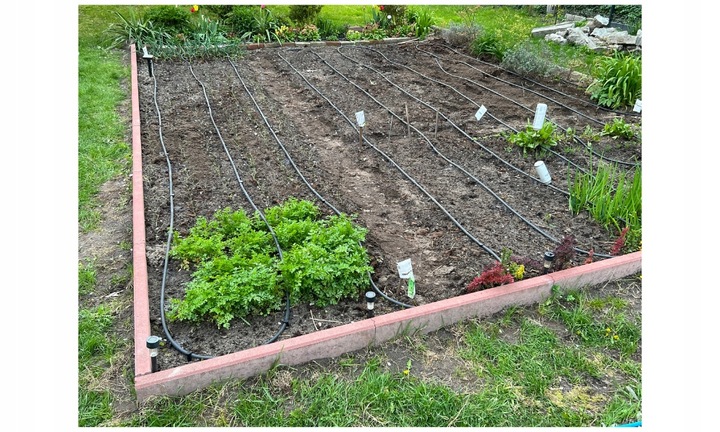 LINIA KROPLUJĄCA NAWODNIENIE KROPELKOWE WĄŻ DO PODLEWANIA ZESTAW 50m+ 56el.