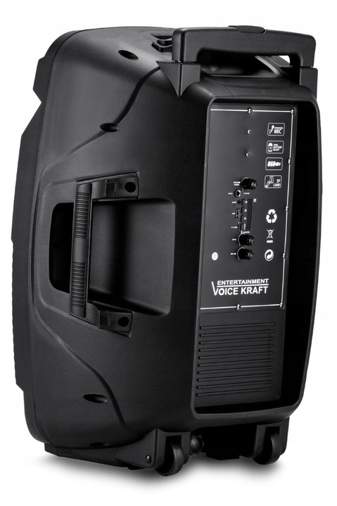 KOLUMNA AKTYWNA GŁOŚNIK BLUETOOTH MIKROFON