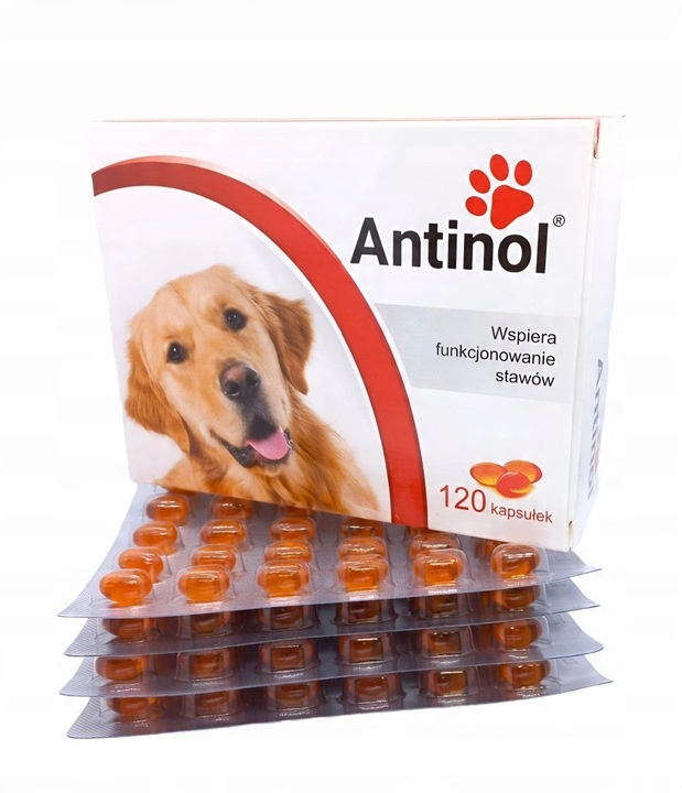 BIOVICO ANTINOL SIZAROL 120 tabletek dla psa na stawy