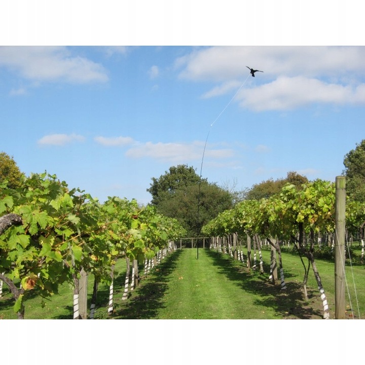 Odstraszacz Szpaków Gołębi Mew Ptaków Latawiec CH1 z masztem 7 metrów