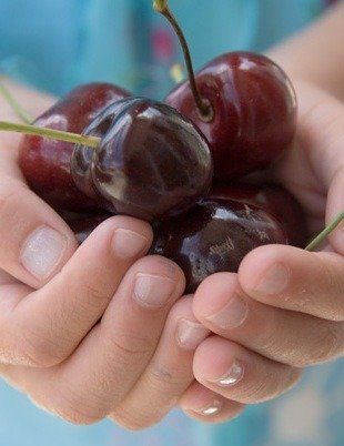 Nawóz Mikoryza Drzewa i Krzewy Owocowe Mycelium