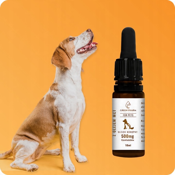 Olejek CBD dla Psa i Kota 5% 500 mg | Weterynaryjny | Bez THC | Bezsmakowy