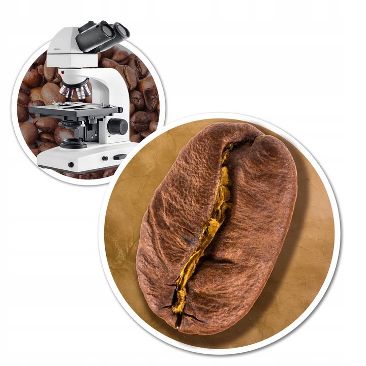 Kawa ziarnista Brazilliana Toucano 1kg x2 Świeżo Palona Arabica 100%