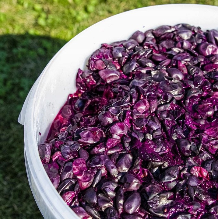 Pojemnik fermentacyjny na wino, miąższ 30 litrów z pokrywką BROWIN