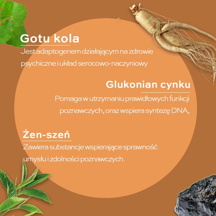 Brain Tech 60 Nootropic PAMIĘĆ KONCENTRACJA