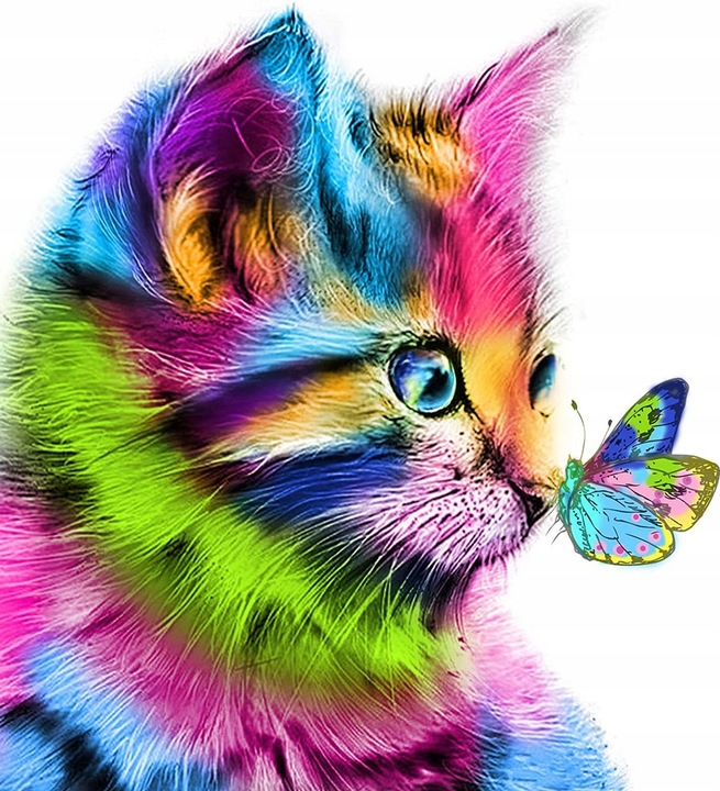 Obraz MALOWANIE PO NUMERACH Kot Kotek 40x50