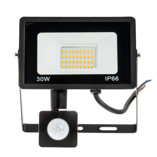 Halogen Naświetlacz 30W LED ZEWNĘTRZNY LAMPA Czujnik RUCHU ZMIERZCHU Garaż