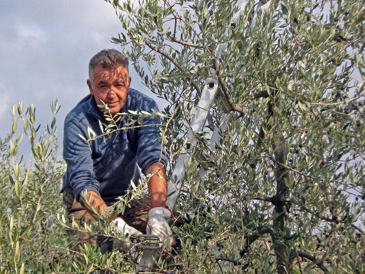 Oliwa z Oliwek Extra Virgin Carlo Bianchi IGP 1000 ml