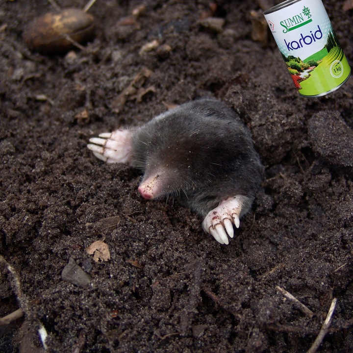 KARBID NA KRETY I NORNICE SUMIN GRANULOWANY ŚRODEK ODSTRASZA ZAPACHEM 1KG