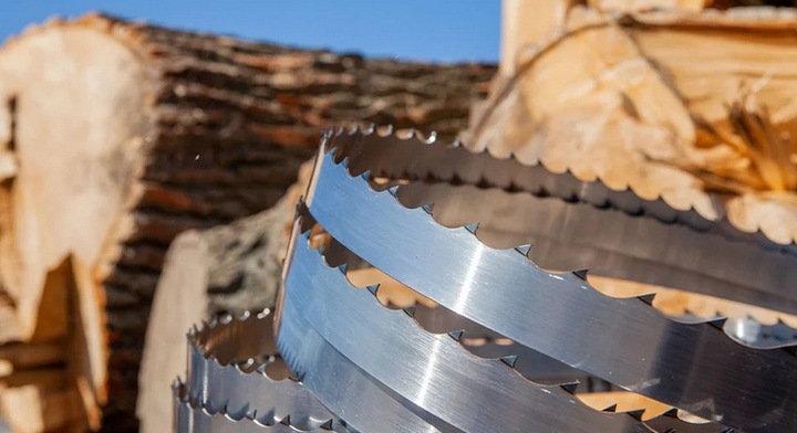 Brzeszczot Wood-Mizer StartCUT do traków taśmowych