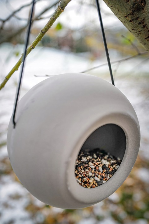 NOWOCZESNY KARMNIK DLA PTAKÓW ZIMUJĄCYCH LISA + POKARM KARMA ZIARNO 1KG