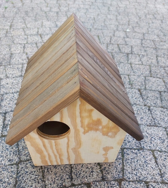 Budka domek dla wiewiórek