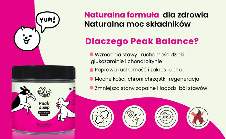 Suplementy dla psa - Kości Stawy Aktywność dla Senior MSM - Witaminy 90szt