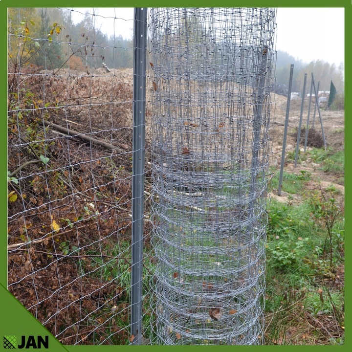 SIATKA LEŚNA 180cm ZAGĘSZCZONA 50m WIRE NET MODEL 180/24/15 L GRATIS GĘSTA