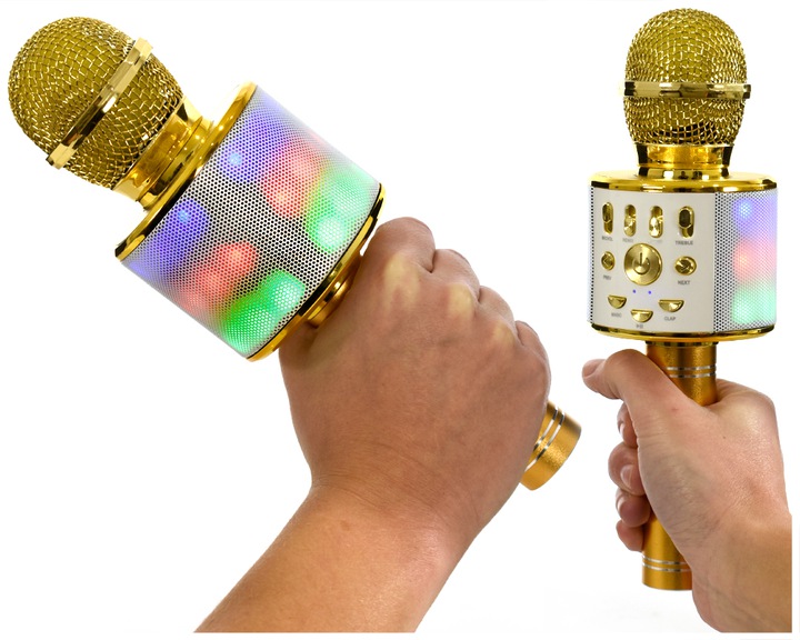 MIKROFON KARAOKE GŁOŚNY Z LAMPKAMI LED DMX ECHO