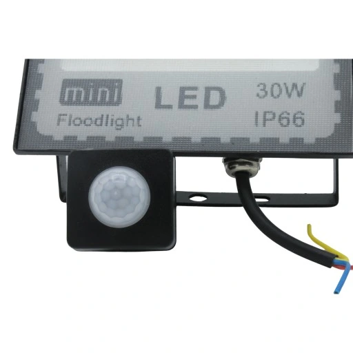 HALOGEN NAŚWIETLACZ LED LAMPA 30W CZUJNIK RUCHU