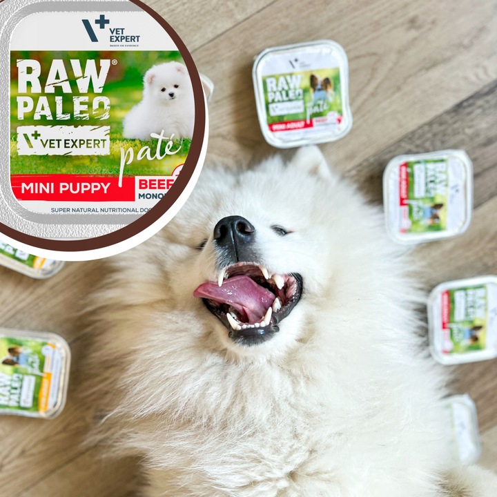 Mokra karma dla szczeniąt małych ras wołowina Raw Paleo Pate 12 x 150g