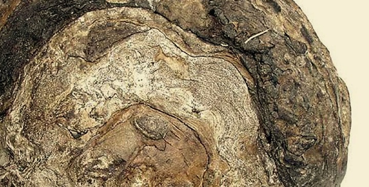 LILI ARDAGIO EDP 100ml+ 10ml roll on *Fenzi