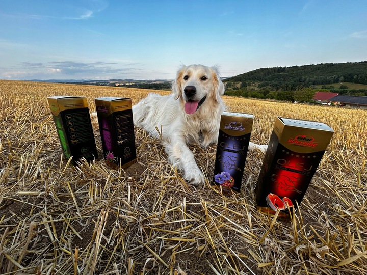 VITAR Veterinae Olej Lniany 1000 ml - lśniąca sierść, doskonałe źródło