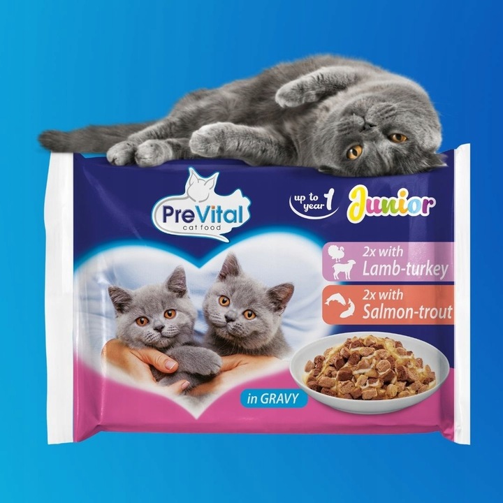 KARMA MOKRA DLA KOTA PREVITAL JUNIOR 52 X 100G SASZETKI DLA KOCIĄT MIX