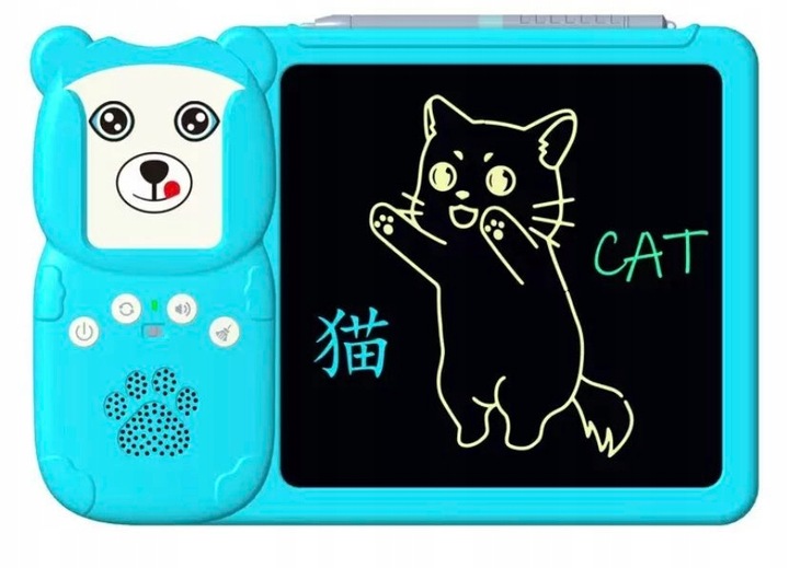 CZYTNIK KART DO NAUKI ANGIELSKIEGO SŁÓWEK DLA DZIECI 112 KART 224 SŁÓWKA