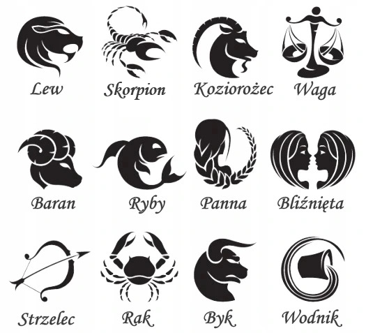 SREBRNY PEŁNY ŁAŃCUSZEK MĘSKI FIGARO NIEŚMIERTELNIK PR. 925 + GRAWER GRATIS