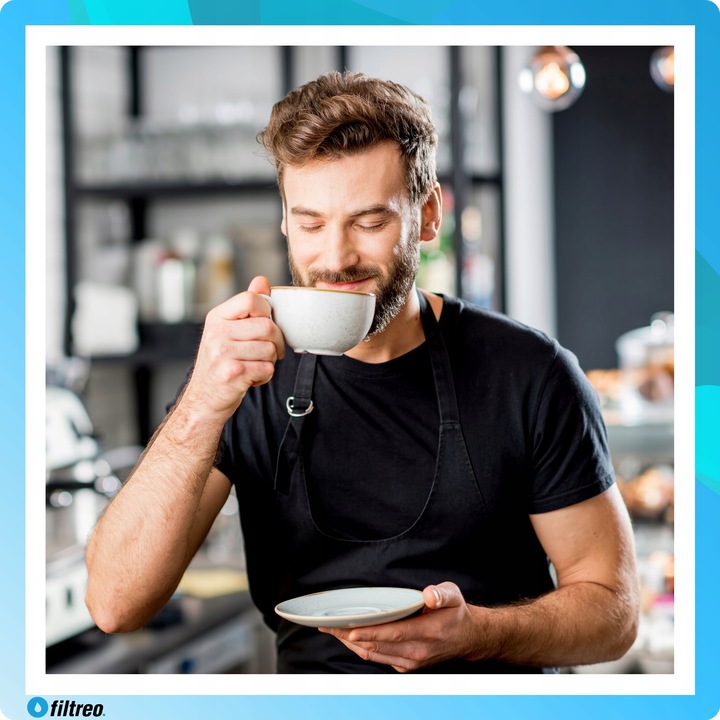 Środek do czyszczenia obiegu mleka 6 saszetek do ekspresu Saeco CA6705