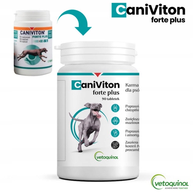 Caniviton Forte Plus 90 tab.