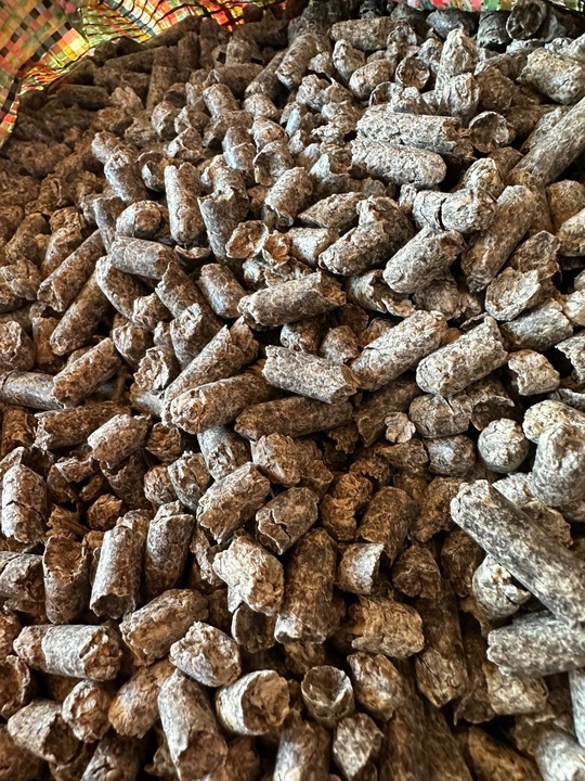 WYSŁODKI BURACZANE niskomelasowane suche 25kg