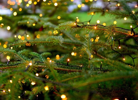 SOPLE ZEWNĘTRZNE 300 LED 15m. TIMER FLASH ŚWIĄTECZNE CHOINKOWE LAMPKI